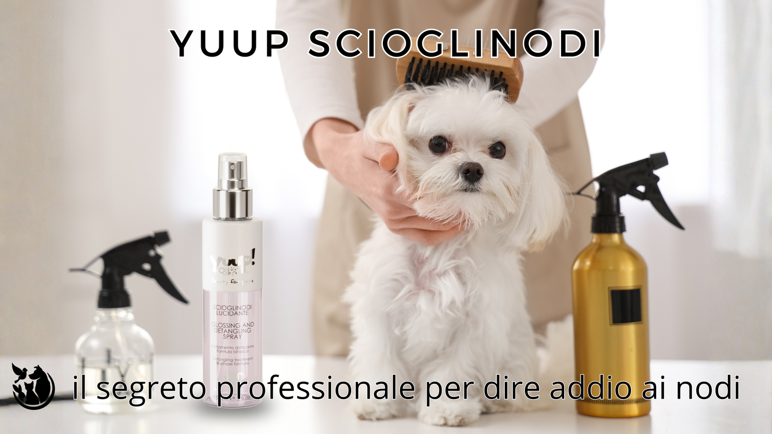 Yuup Scioglinodi: il segreto professionale per dire addio ai nodi nel pelo di cani e gatti