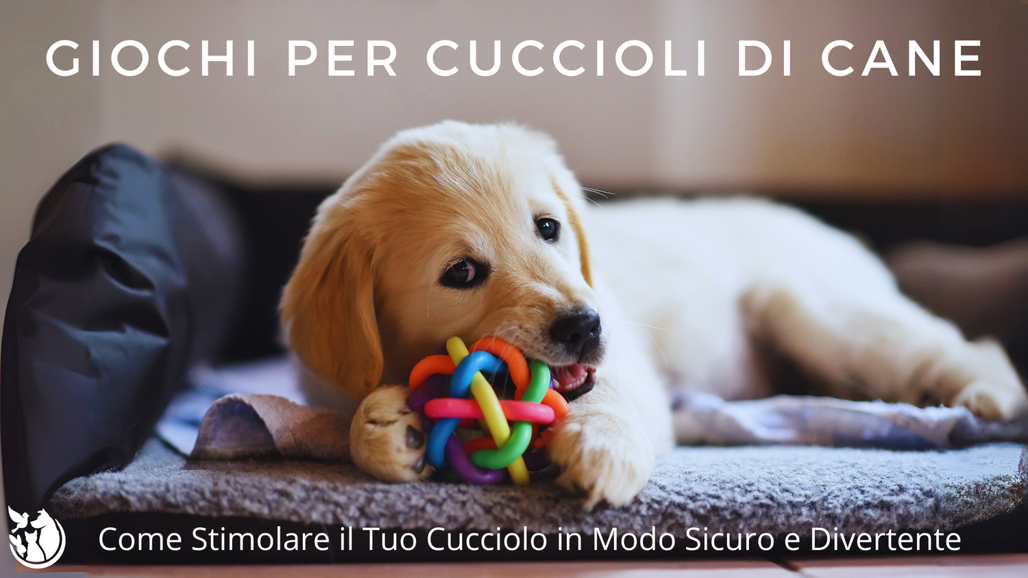 Giochi per Cuccioli di Cane: Come Stimolare il Tuo Cucciolo in Modo Sicuro e Divertente