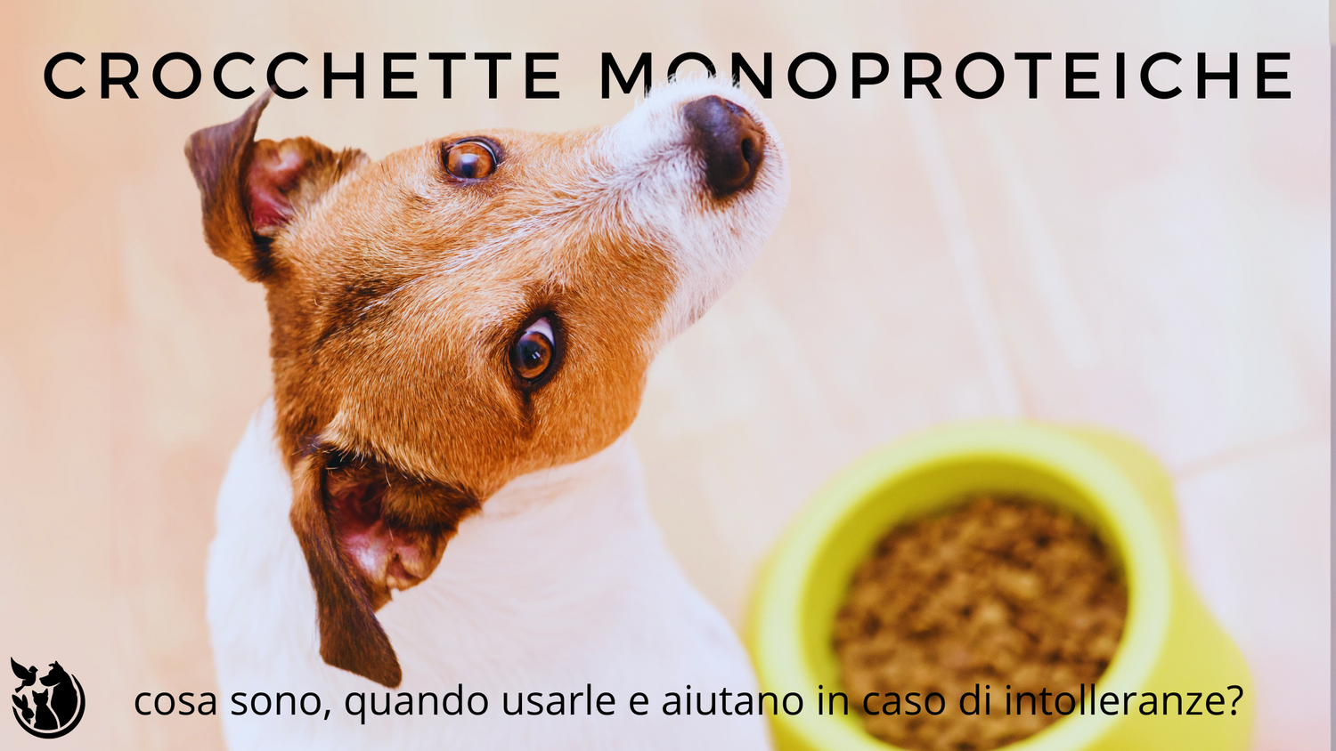 Crocchette monoproteiche cane: cosa sono, quando usarle e perché aiutano in caso di intolleranze?