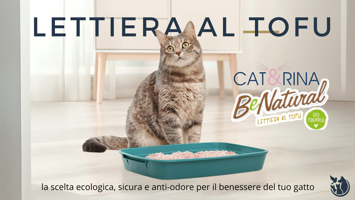 Lettiera al Tofu Cat&Rina BeNatural: la scelta ecologica, sicura e anti-odore per il benessere del tuo gatto