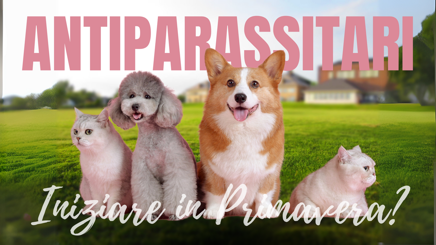Primavera: quando iniziare con gli antiparassitari per cani e gatti?