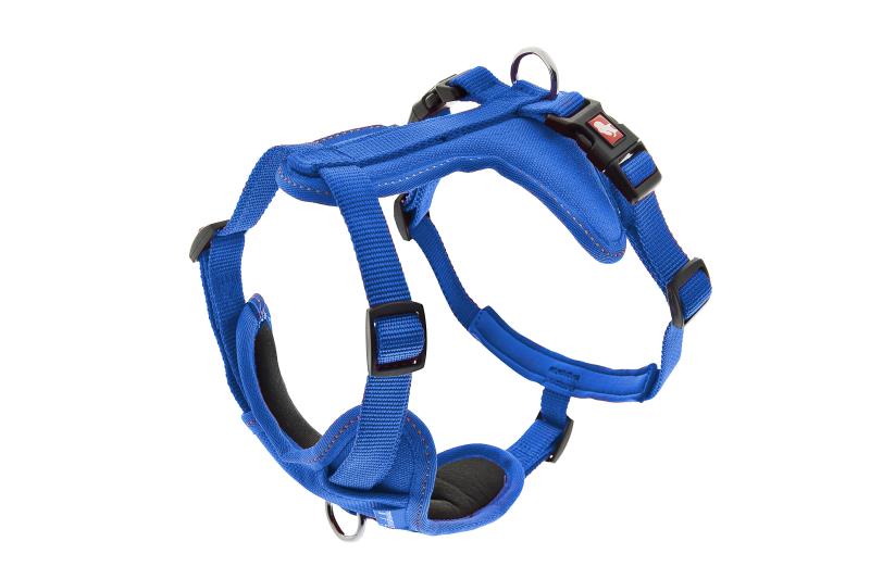 Ferribiella - Pettorina ad H con Morbide Protezioni per Cani Piccoli Cesare XS