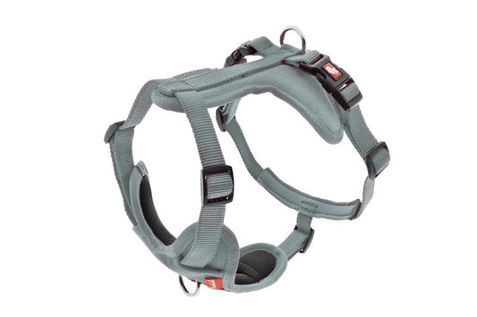 Ferribiella - Pettorina ad H con Morbide Protezioni per Cani Piccoli Cesare XS