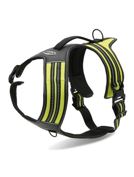 Record - Pettorina con Maniglione per Cani Traspirante Action Alpi