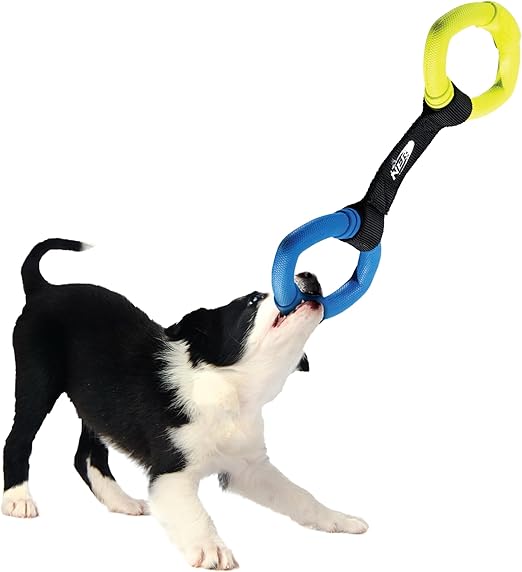 Nerf Dog - Anelli in Gomma Gioco Galleggiante per Cani