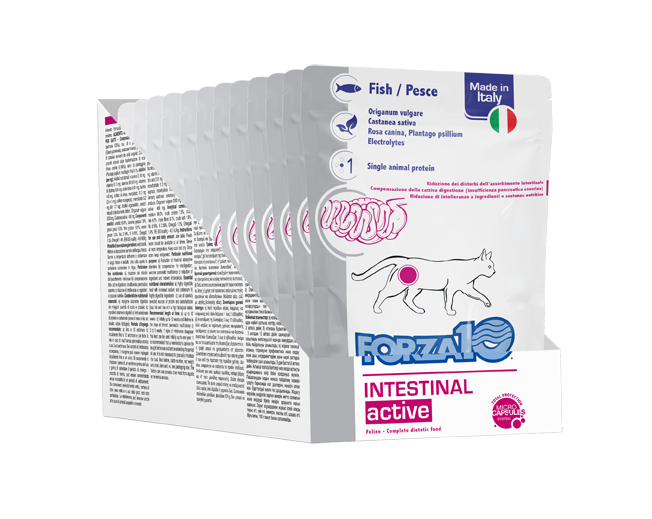 Forza10 - Umido al Pesce per Gatti con Patologie all'Assorbimento Intestinale Intestinal Active 100g