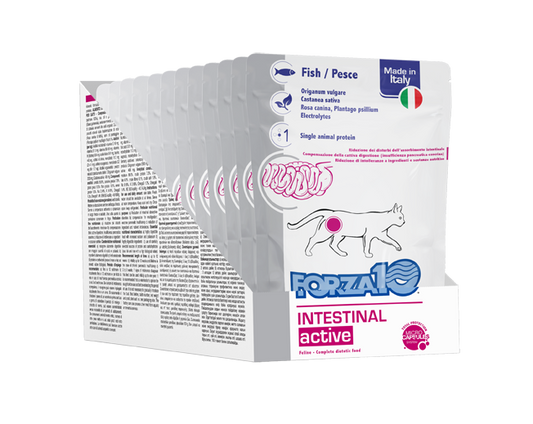 Forza10 - Umido al Pesce per Gatti con Patologie all'Assorbimento Intestinale Intestinal Active 100g