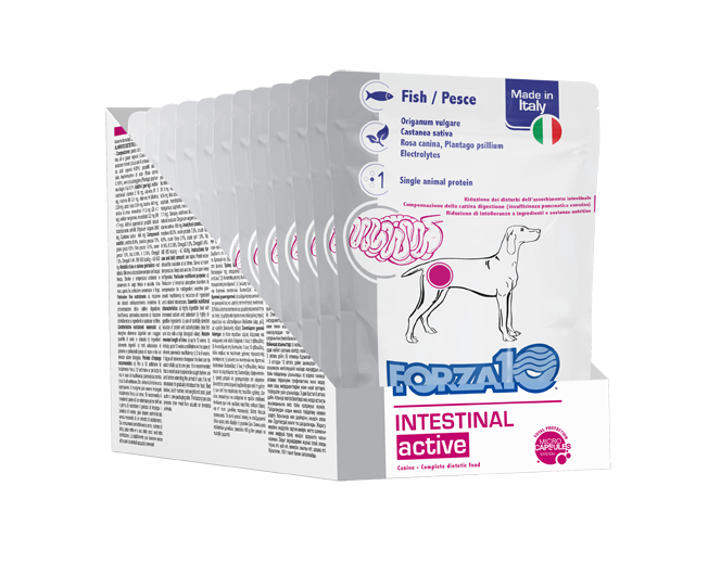 Forza10 - Umido Intestinal per Cani Adulti con Patologie Intestinali Active 100gr