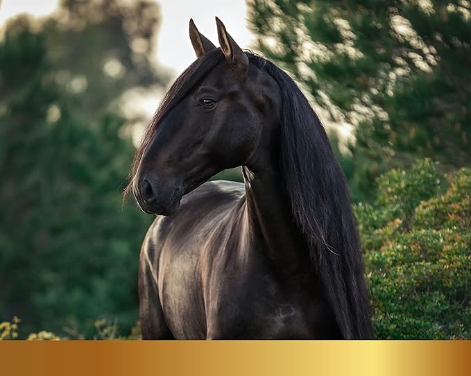 Linea 101 - Shampoo NUTRITIVO per la Criniera dei Cavalli con Camomilla 500ml