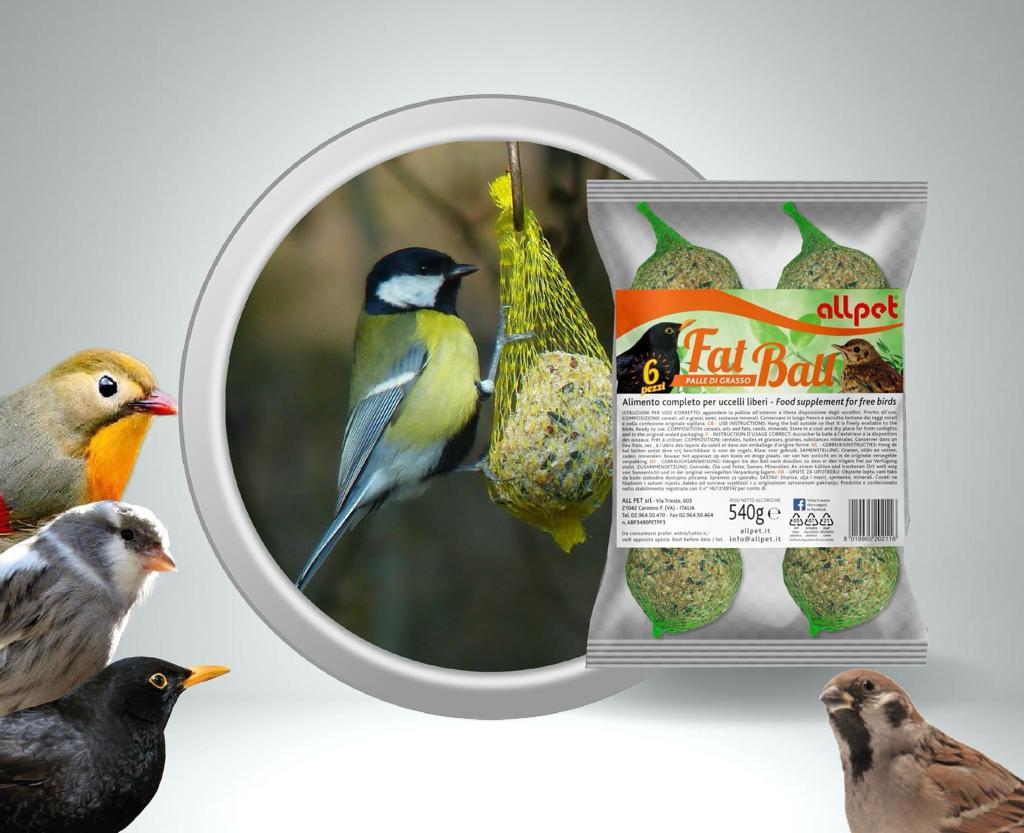 palle di grasso uccelli selvatici, alimento invernale uccelli alto contenuto energetico, cibo complementare per uccelli da giardino, semi e grasso uccelli inverno, mangime per uccelli selvatici invernale, AllPet palle di grasso 6 pezzi