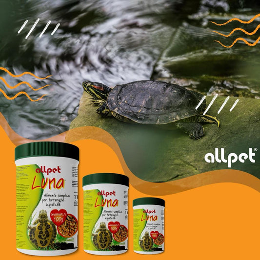 mangime per tartarughe d'acqua, snack per tartarughe acquatiche, gamberetti essiccati tartarughe, alimento naturale per rettili, AllPet Luna Grammarus, cibo secco per tartarughe d’acqua, gamberetti 100% naturali
