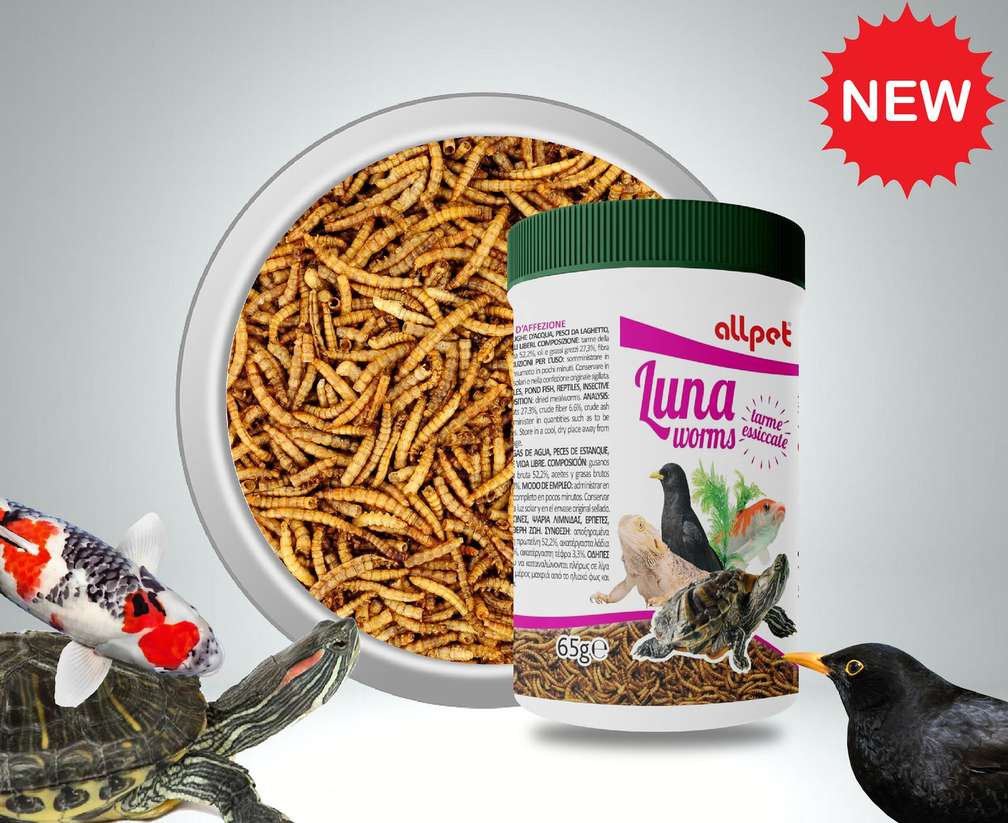 tarme della farina per tartarughe, snack naturali per rettili, cibo per pesci da laghetto, insetti essiccati per uccelli, AllPet Luna Worms, tenebrio molitor per animali