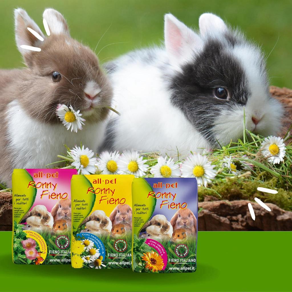 fieno per conigli nani, fieno con tarassaco per roditori, fieno con camomilla per cavie, fieno naturale per criceti, alimentazione naturale roditori, fieno AllPet Ronny, fieno ad alto contenuto di fibre, fieno per piccoli animali, miglior fieno per roditori, fieno per digestione roditori