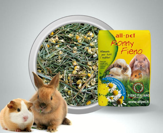 fieno per conigli nani, fieno con tarassaco per roditori, fieno con camomilla per cavie, fieno naturale per criceti, alimentazione naturale roditori, fieno AllPet Ronny, fieno ad alto contenuto di fibre, fieno per piccoli animali, miglior fieno per roditori, fieno per digestione roditori
