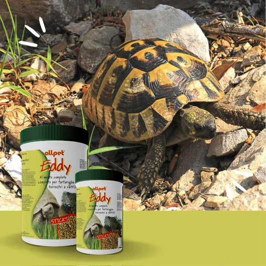 mangime per tartarughe di terra, mangime estruso tartarughe terrestri, AllPet Eddy, cibo completo per rettili, estruso per tartarughe e rettili, alimento vitaminico tartarughe, crocchette estruse per rettili, mangime multivitaminico tartarughe
