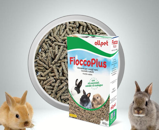 AllPet fiocco Plus mangime per conigli nani cuccioli e adulti alimento con oli essenziali ed estratto di castagno in pellet