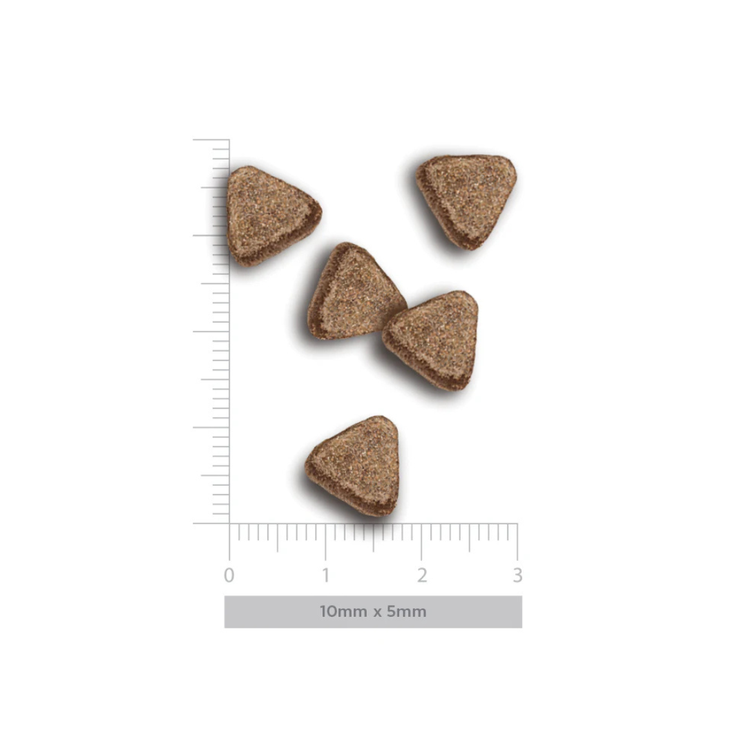 crocchette gatti anziani sterilizzati low grain, Harper and Bone senior sterilised, alimento secco premium gatti meticci e anziani, crocchette controllo peso gatti sterilizzati, proteina alta pollo tacchino anatra senior, benessere articoli-pelle pelo gatti anziani