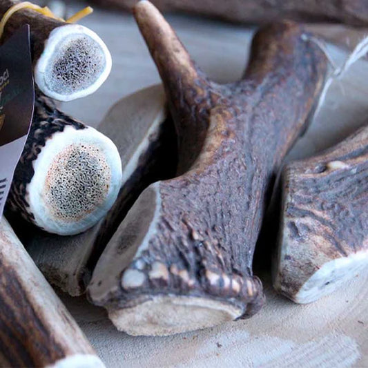 corna di cervo cane, snack masticativo naturale cane, corno cervo Barf Croci, igiene dentale naturale cane, croci Niki Natural Barf corna