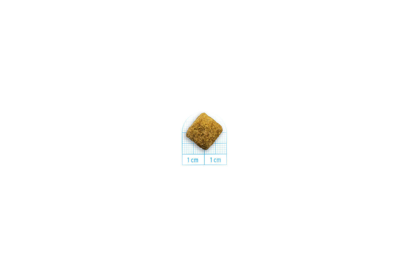 Forza 10 crocchette cane, Forza10 Intestinal Colon Fase 1, crocchette cane disturbi intestinali, cibo dietetico colon cane, Forza10 Active Vet Diet, crocchette agnello cane intestino sensibile