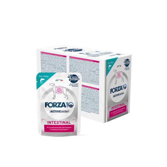 Forza 10 umido cane, Forza 10 Intestinal Active cane, umido cane patologie intestinali, cibo dietetico intestinale cane, Forza10 veterinario cane, umido cane digestione sensibile
