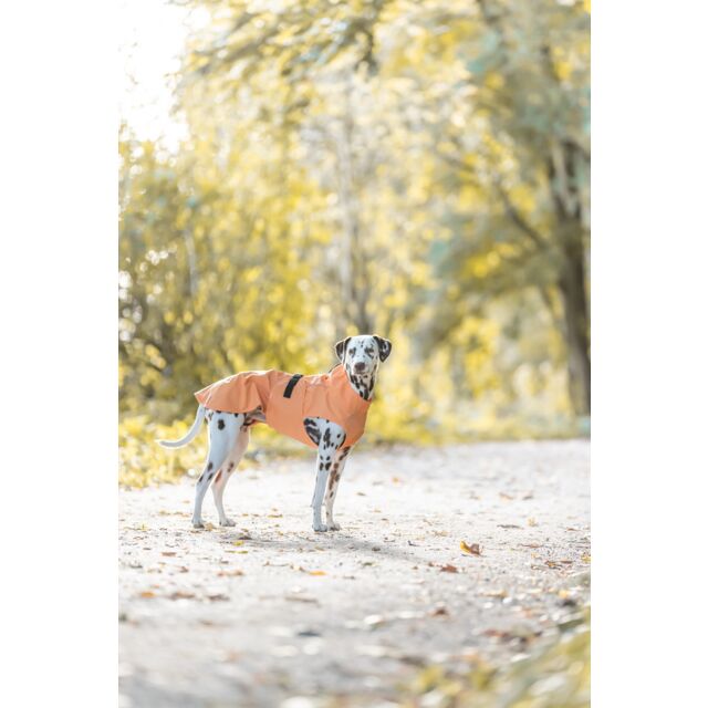 impermeabile cane Trixie, Trixie Vimy arancione, impermeabile per cani arancione, cappottino impermeabile cane, impermeabile cane antivento, Trixie impermeabile cane, cappotto pioggia cane, giacca impermeabile cane, impermeabile cane con pettorina, impermeabile cane con parti riflettenti, cappottino cane Trixie Vimy, abbigliamento cane pioggia, impermeabile cane regolabile