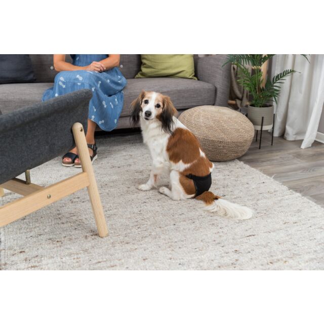 Trixie - Mutandina Igienica per Cani Femmine in Calore con 3 pannolini