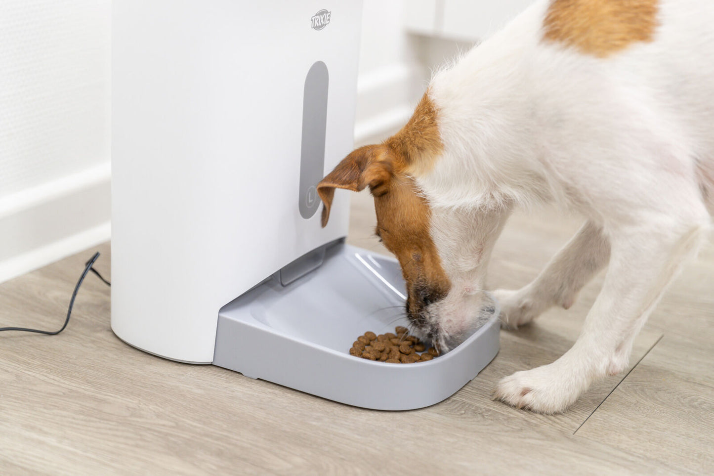 Trixie - Distributore Automatico di Cibo per Cani e Gatti TX8 2.0