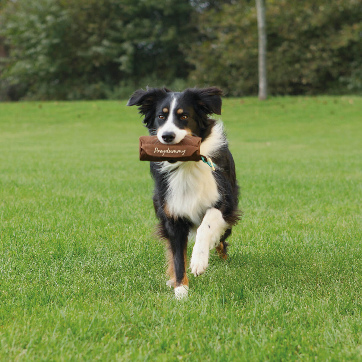 Trixie - Gioco da Riporto Nascondi Snack per Cani Preydummy