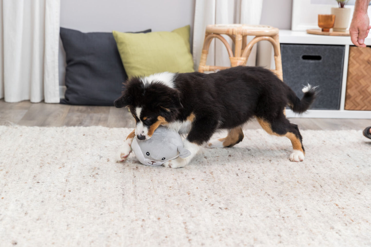Trixie - Gioco Orsetto in Peluche Junior per Cani Cuccioli