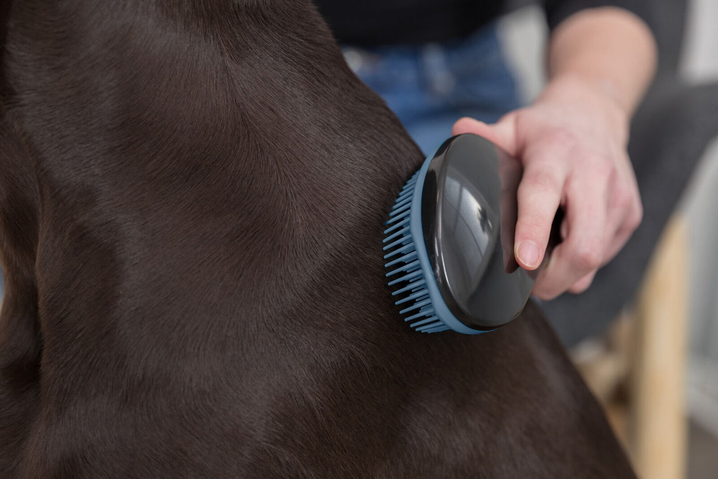 Trixie - Spazzola Morbida per districare il Pelo dei Cani