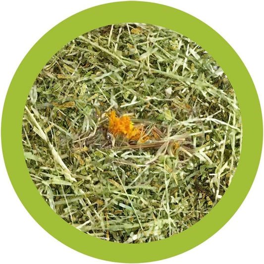 fieno per conigli nani con tarassaco, fieno naturale Paglianatura, fieno per roditori con erbe, fieno ricco di fibre per cavie, fieno con tarassaco 1,3 kg, alimento naturale per conigli e roditori, fieno italiano per conigli, Paglianatura fieno con tarassaco, cibo naturale per conigli e piccoli animali