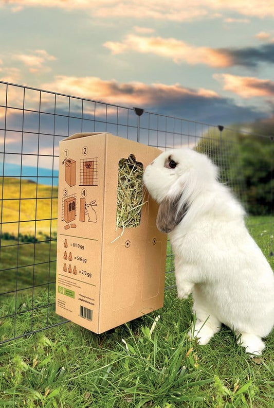 fieno per conigli nani, fieno conigli, fieno per coniglio, fieno coniglio nano, paglianatura fieno, coniglietto nano, coniglietti nani, fieno di montagna per conigli, fieno coniglio, paglianatura fieno 700 g, fieno box dispenser roditori, alimentazione naturale coniglio