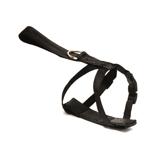 Fuss-Dog - Pettorina di Sicurezza per auto