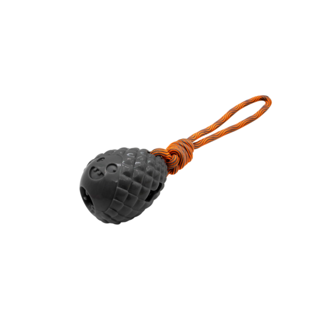 Gimborn - Gioco per Cani Happy Pigna Gimdog con Corda