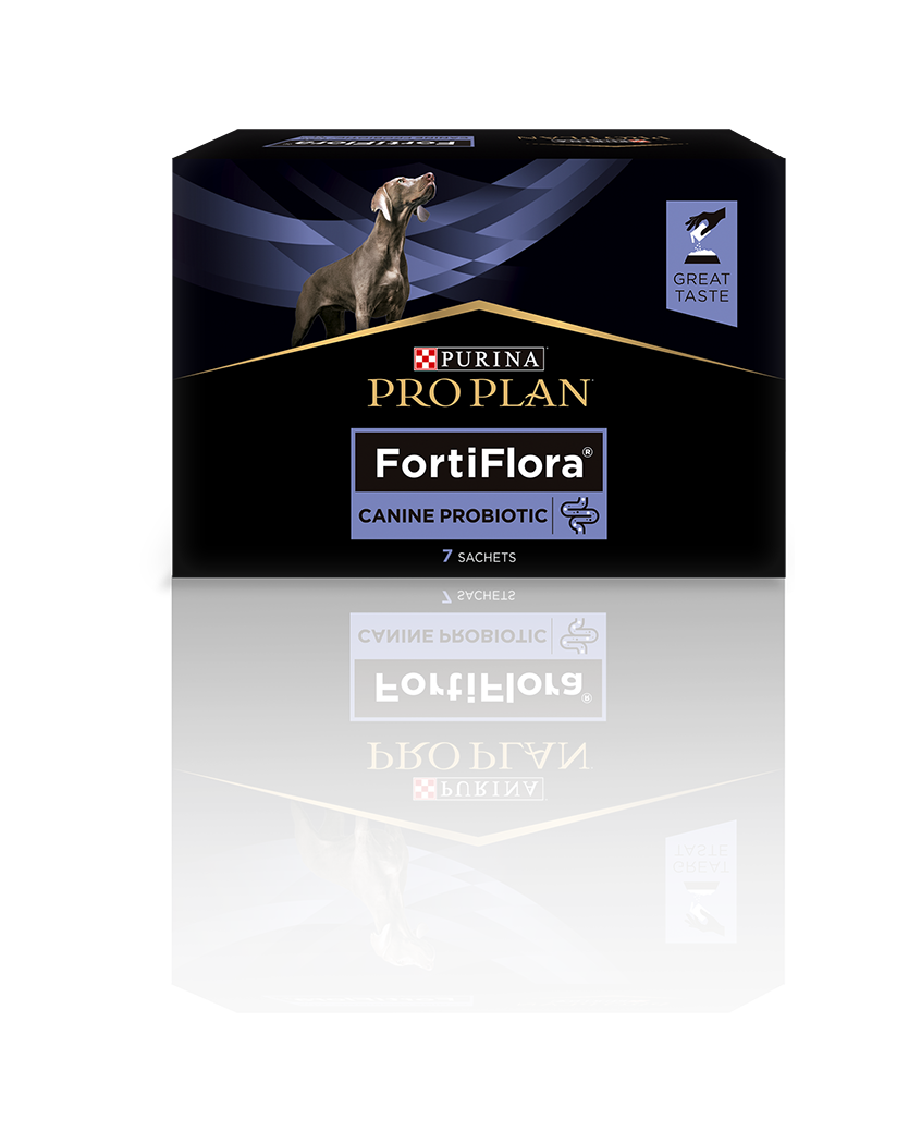fermenti lattici per cani, probiotico Purina FortiFlora, integratore intestinale per cani, prebiotico e probiotico cani, Purina Pro Plan Probiotic