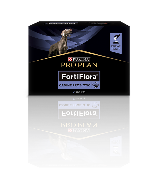 fermenti lattici per cani, probiotico Purina FortiFlora, integratore intestinale per cani, prebiotico e probiotico cani, Purina Pro Plan Probiotic