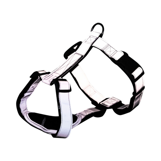 pettorina riflettente cane Trixie, H-Harness Reflect Silver Reflect, pettorina visibilità notturna cane, Pettorina regolabile cane medio/nano,Silver Reflect H Harness Trixie recensione, pettorina nylon riflettente zampine, accessori cane sicurezza serale