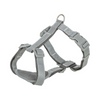 pettorina riflettente cane Trixie, H-Harness Reflect Silver Reflect, pettorina visibilità notturna cane, Pettorina regolabile cane medio/nano,Silver Reflect H Harness Trixie recensione, pettorina nylon riflettente zampine, accessori cane sicurezza serale