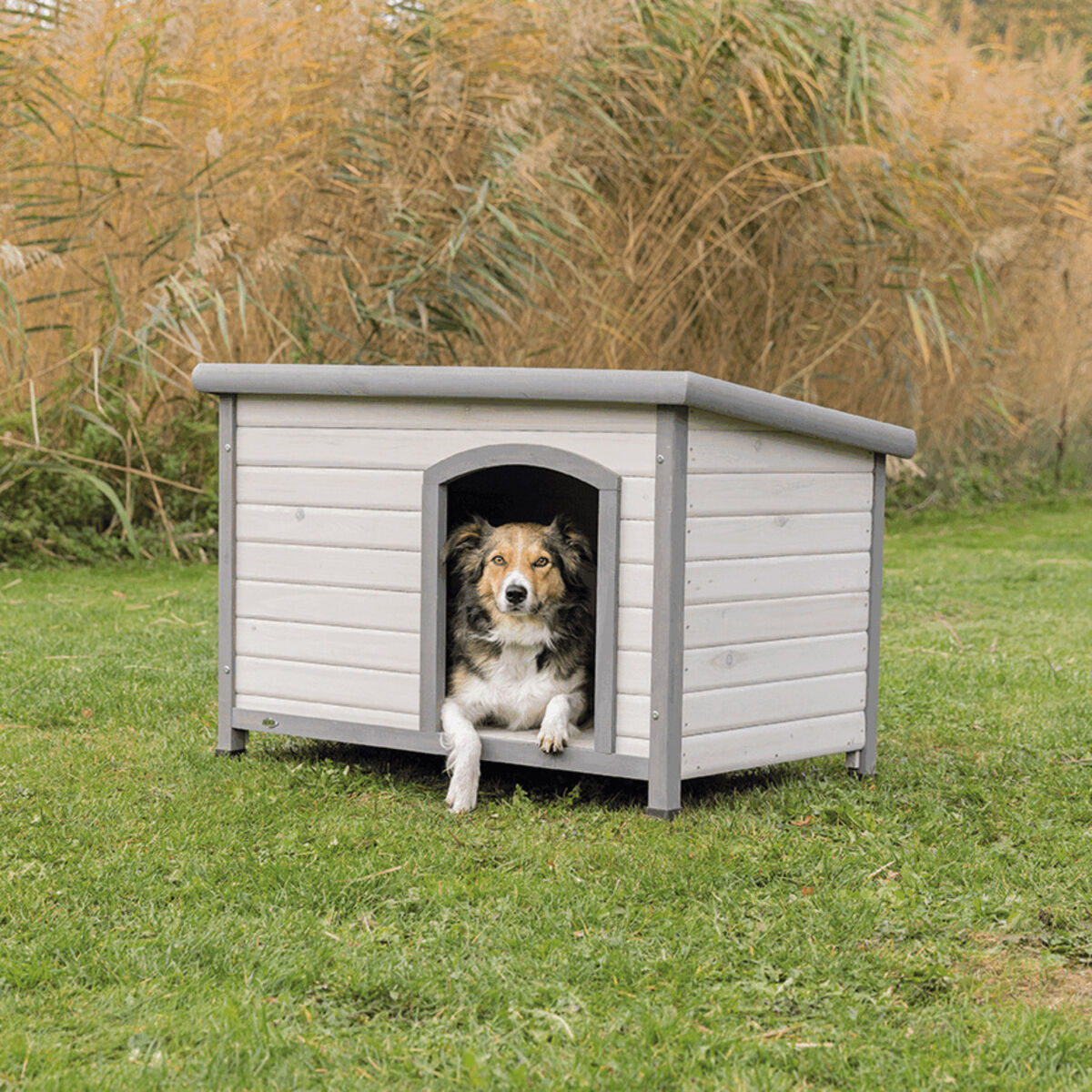 trixie cuccia cane esterno, trixie cuccia cane da esterno, cuccia cane legno grigia, cuccia per cani da esterno impermeabile, cuccia in legno per cani trixie, cuccia outdoor cane resistente, cuccia cane tetto impermeabile