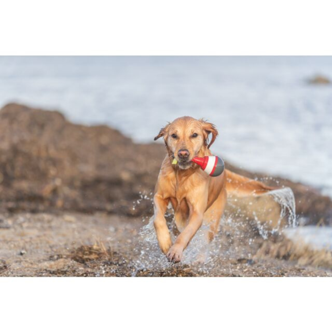 gioco galleggiante per cani, boa acquatica Trixie, porta snack cane da acqua, gioco TPR per cani, Aqua Toy Boa Snack, gioco interattivo cane piscina, corda e pallina per cani, Trixie 33456