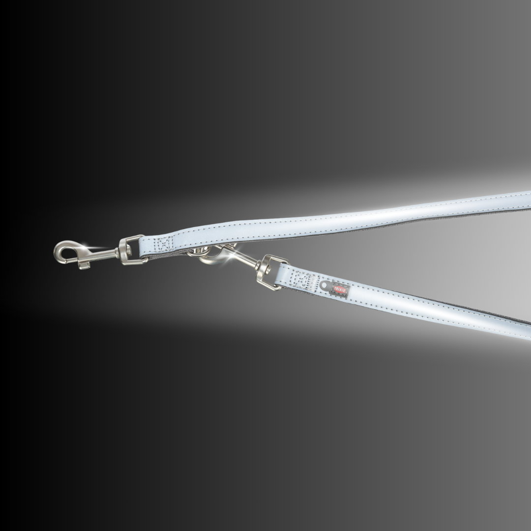 guinzaglio riflettente cane Trixie, guinzaglio addestramento Reflect, Silver Reflect leash regolabile, guinzaglio visibilità notturna cane, Reflect Training Leash 2m, guinzaglio S-M riflettente nylon