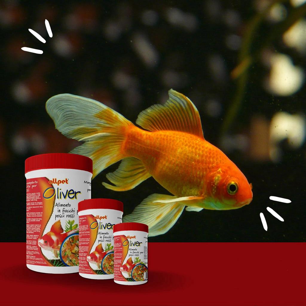 AllPet - Oliver Mangime in Fiocchi per Pesci Rossi