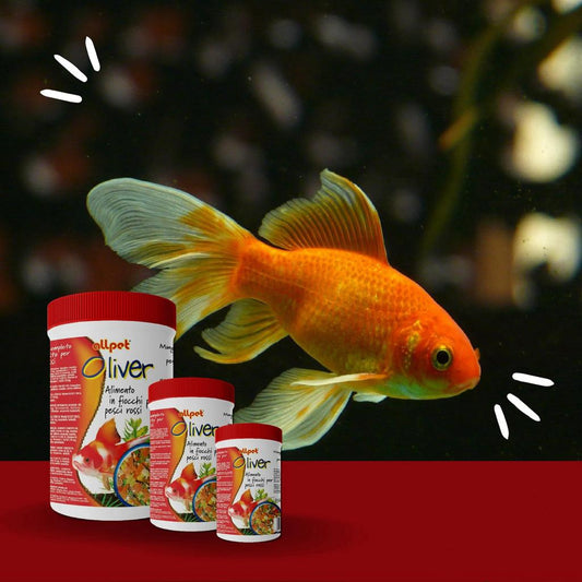 AllPet - Oliver Mangime in Fiocchi per Pesci Rossi