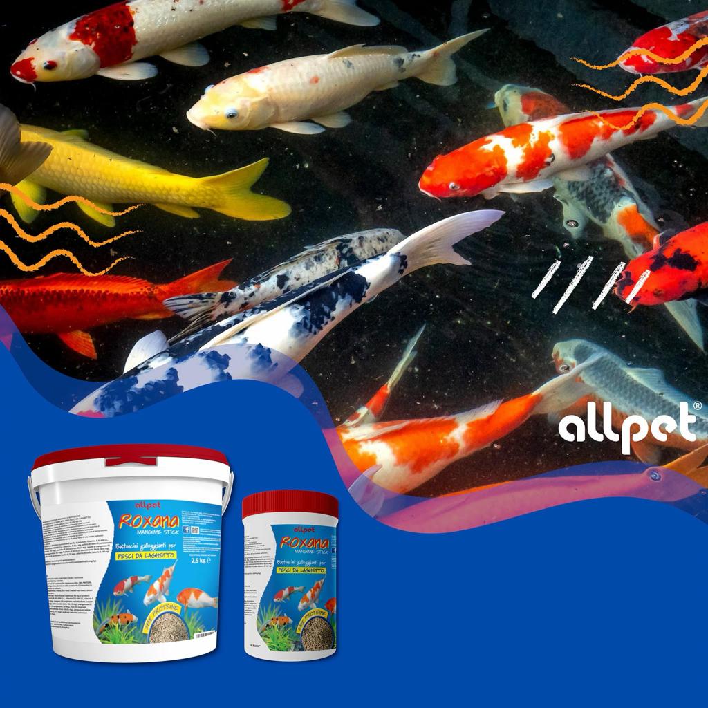AllPet - Roxana mangime in stick per Pesci da Laghetto 300g