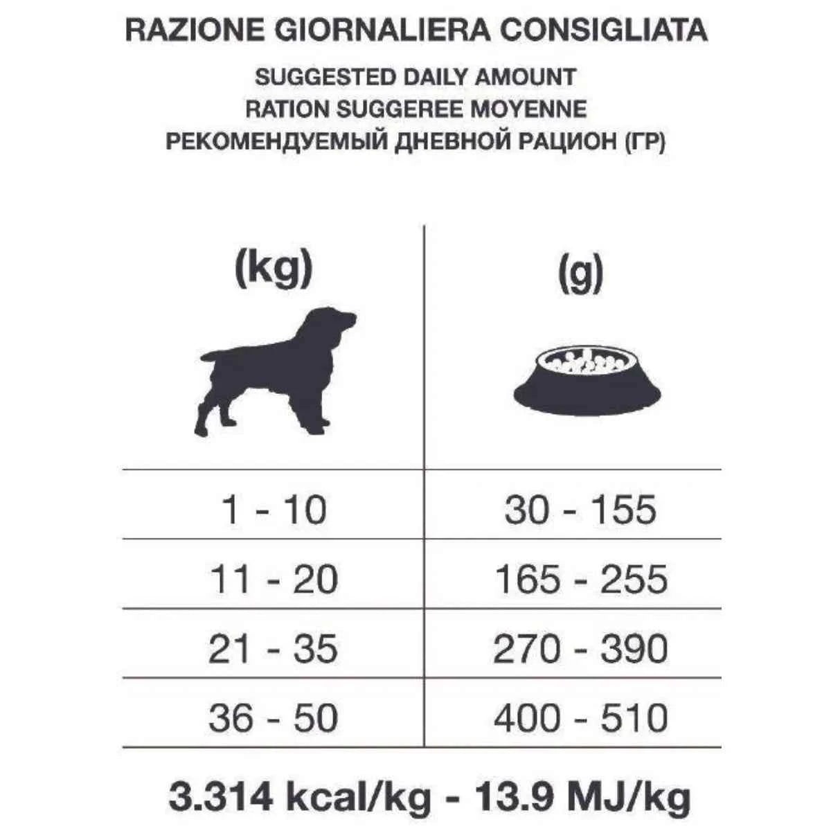 Forza10 - Crocchette per Cani Adulti di Media e Grossa Taglia con disturbi INTESTINALI Fase 1 PESCE Active Line Intestinal Colon Dott. Graziano Pengo