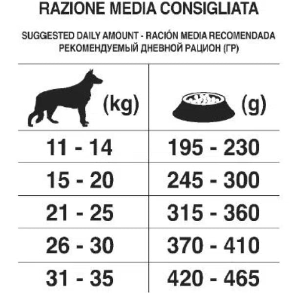 Forza10 - Crocchette al Maiale per il Mantenimento Cani di Tutte le Taglia Media Adult All Size