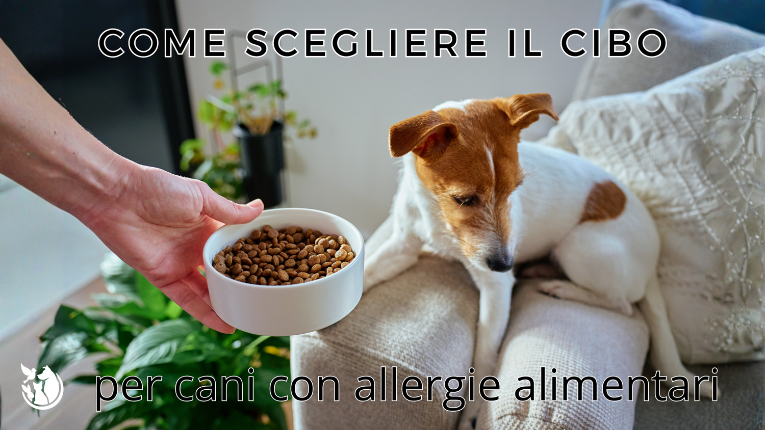 Come scegliere il cibo per cani adatto a cani con allergie alimentari?