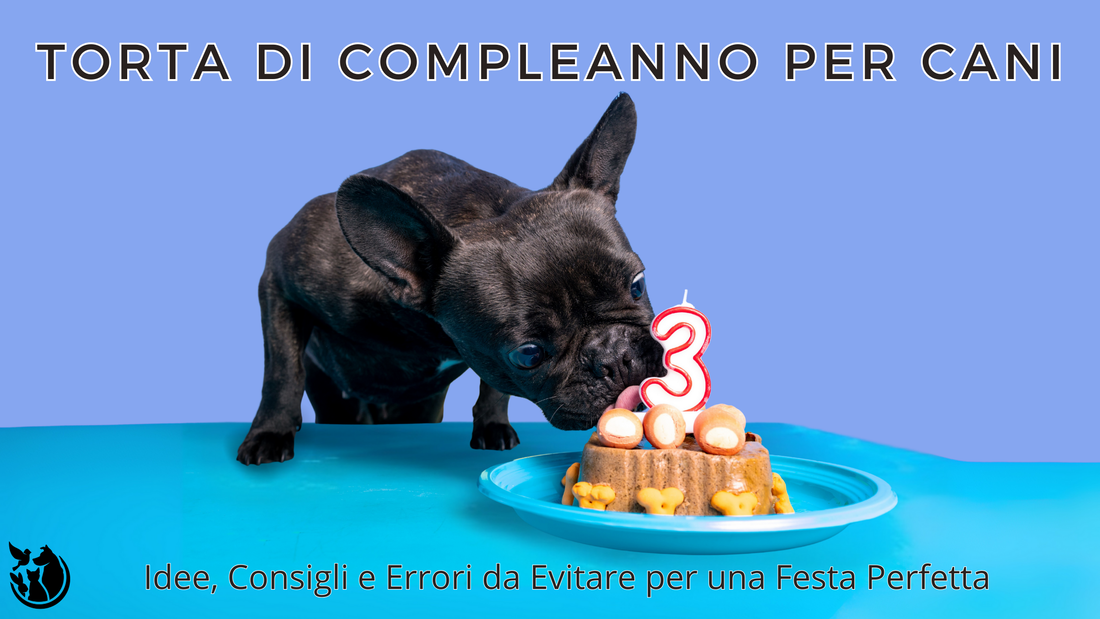 Torta di Compleanno per Cani: Idee, Consigli e Errori da Evitare per una Festa Perfetta