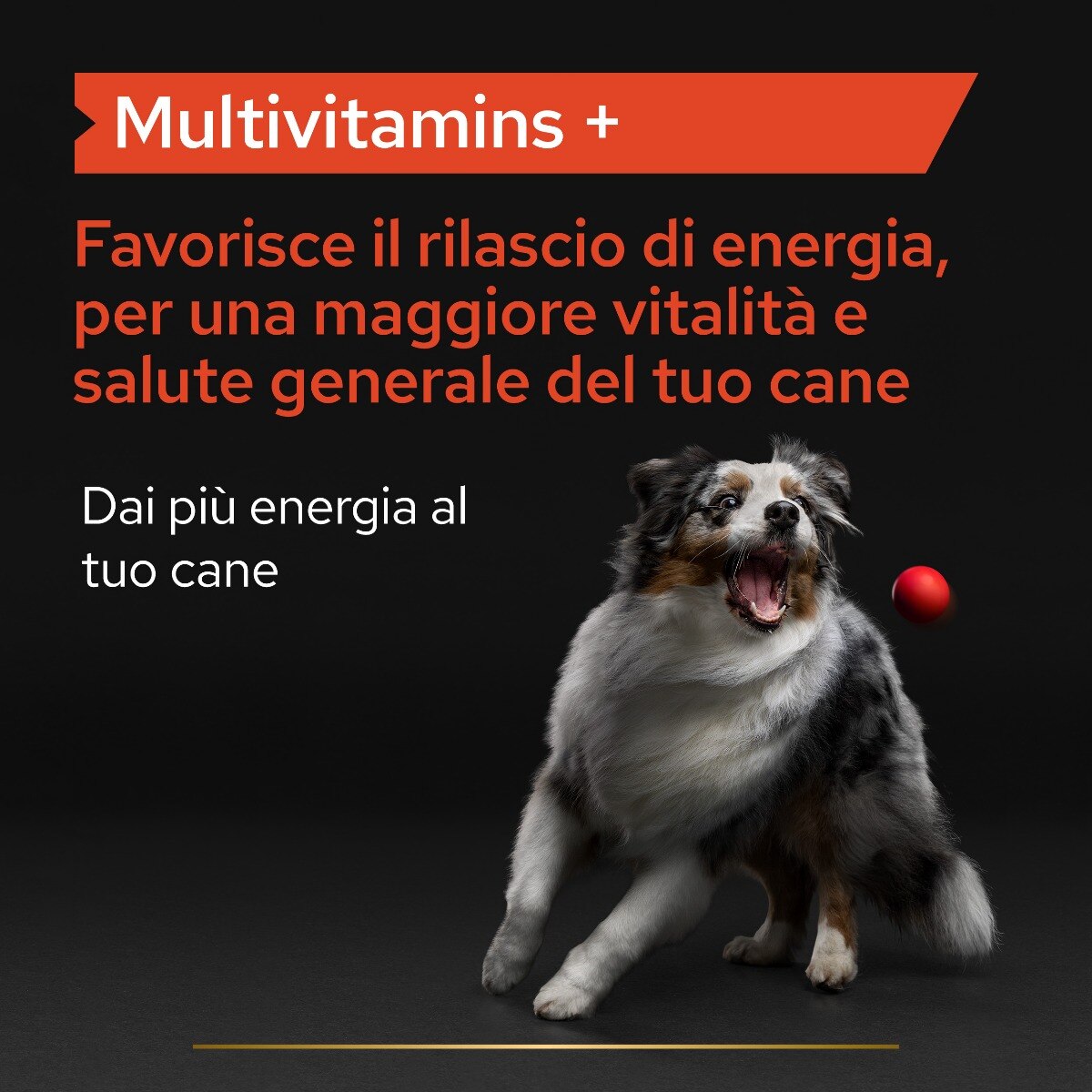 Purina - Integratore Multivitaminico Pro Plan Supplements Multivitamins+ Cane 45 compresse