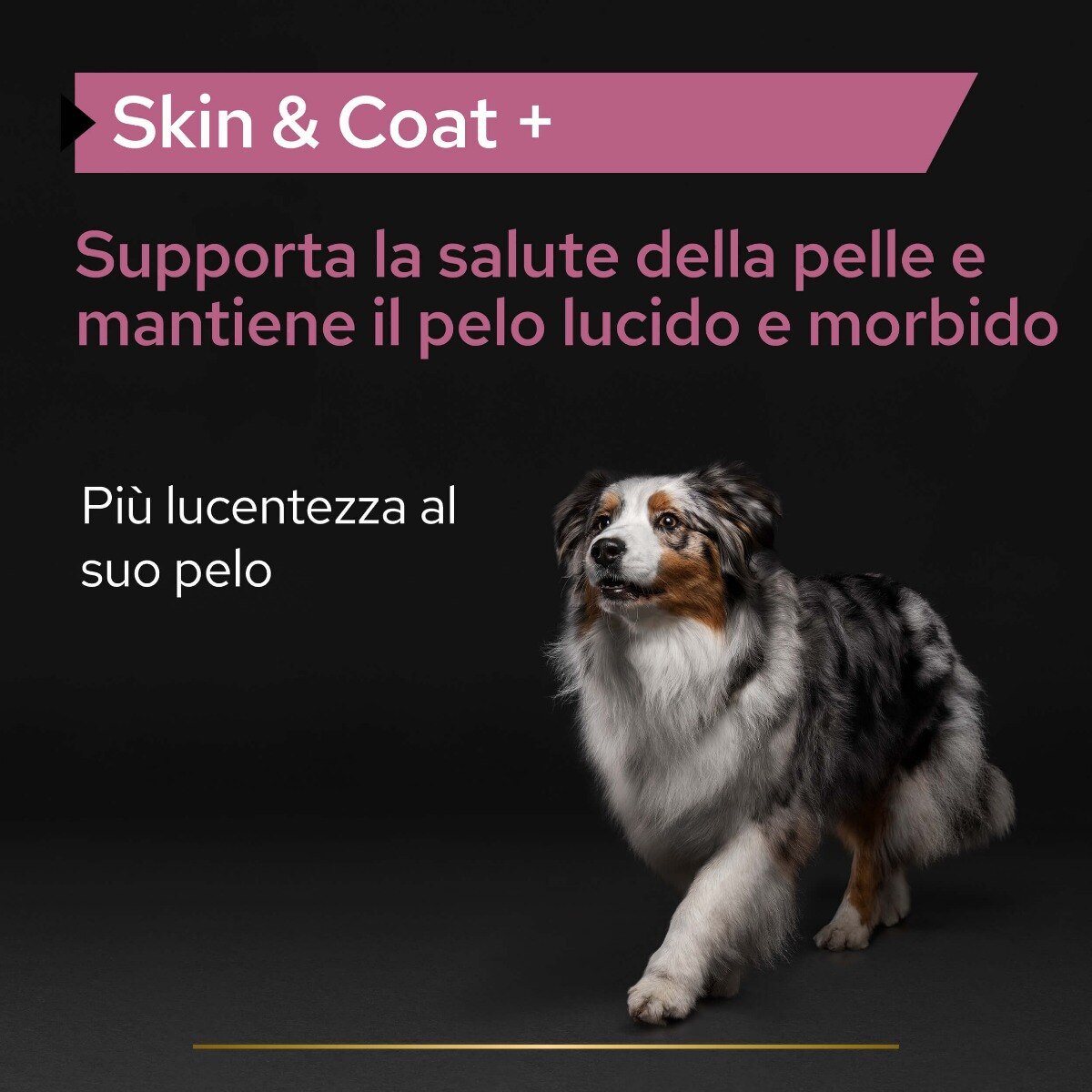 Purina - Pro Plan per Manto Pelo e Pelle Supplements Skin & Coat+ Cane 250ml